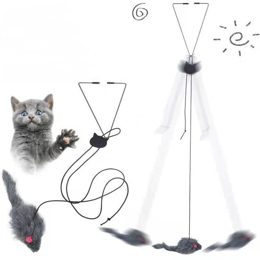 Hanging Door Cat Toy