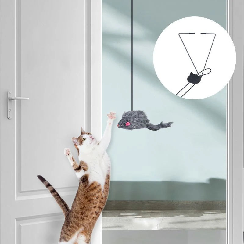 Hanging Door Cat Toy