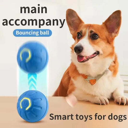 Smart Interactive Pet Ball