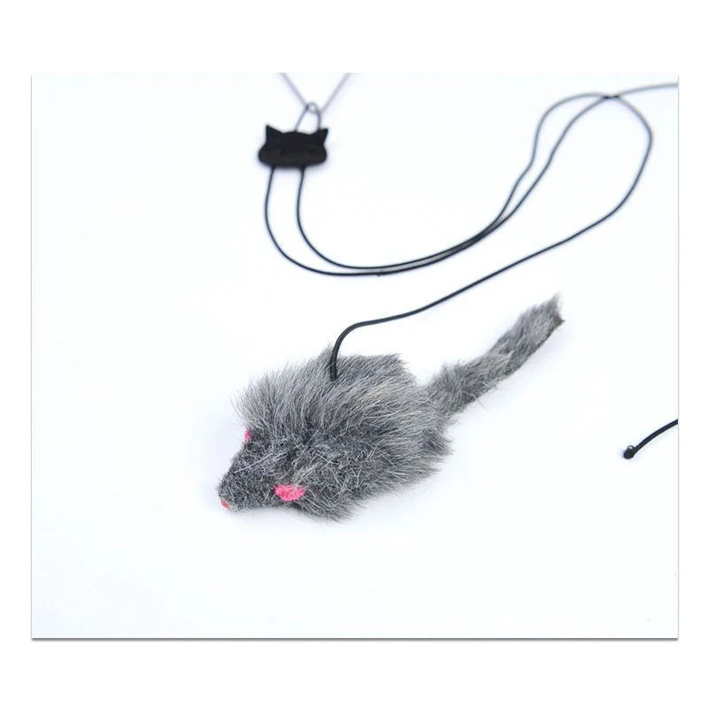 Hanging Door Cat Toy